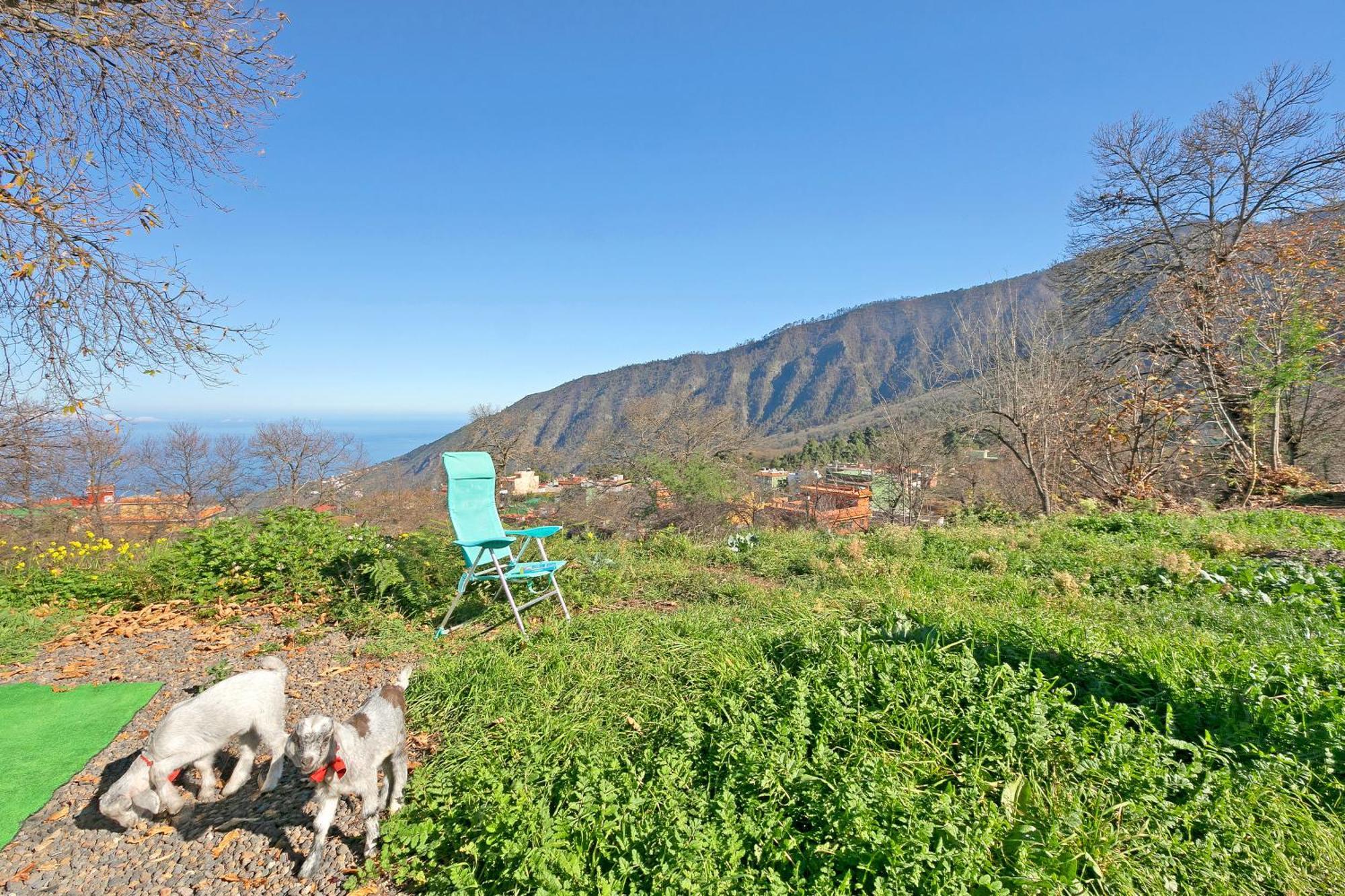Aguamansa Relax Villa La Orotava Bagian luar foto